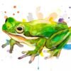 Green Tree Frog
