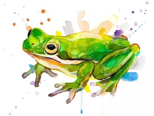 Green Tree Frog