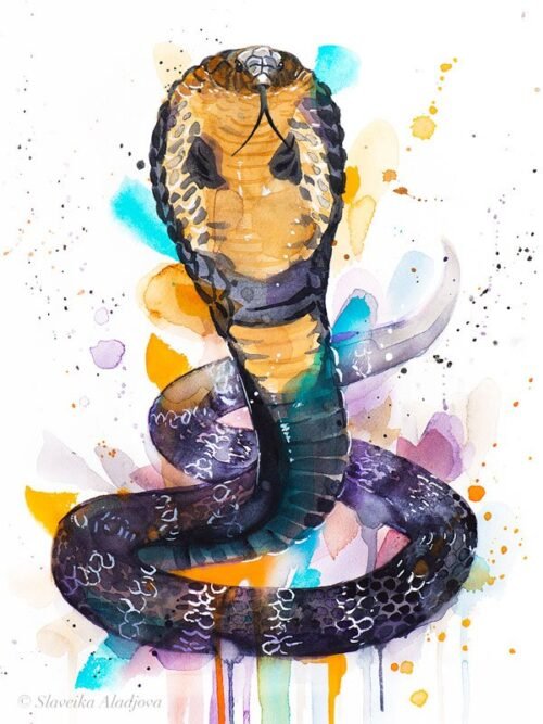 King cobra