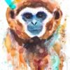 Lar gibbon