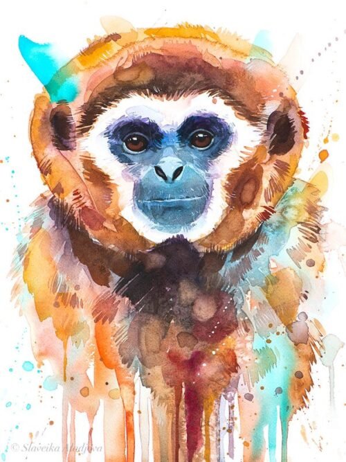 Lar gibbon