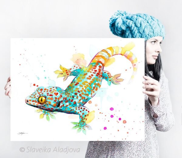 Tokay Gecko Tokay Gecko