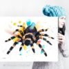 Mexican Red Knee Tarantula, Spider Mexican Red Knee Tarantula, Spider