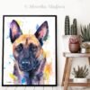 Belgian Shepherd, Malinois Belgian Shepherd, Malinois