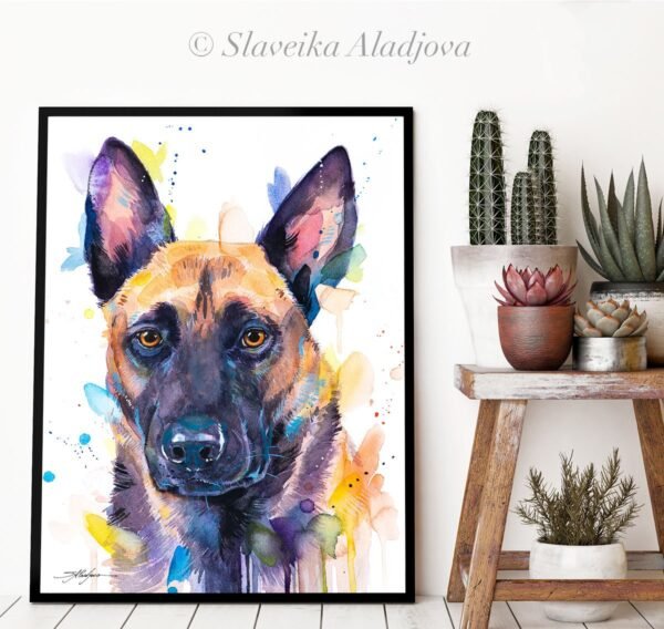 Belgian Shepherd, Malinois Belgian Shepherd, Malinois