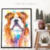 English Bulldog, Dog