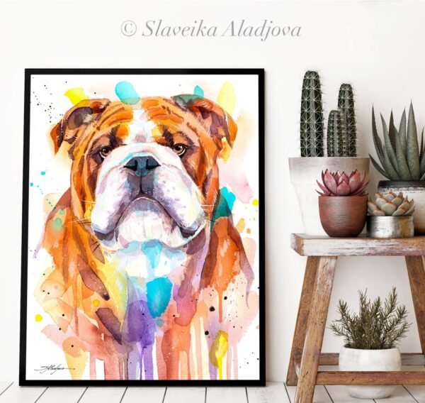 English Bulldog, Dog