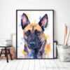 Belgian Shepherd, Malinois Belgian Shepherd, Malinois