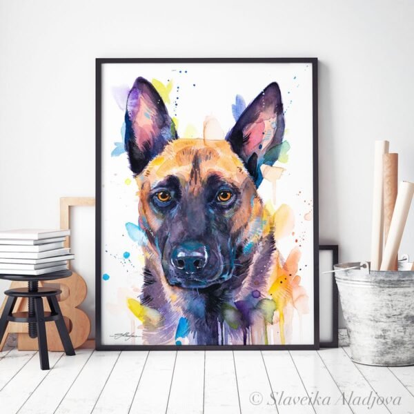 Belgian Shepherd, Malinois Belgian Shepherd, Malinois