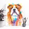 English Bulldog, Dog