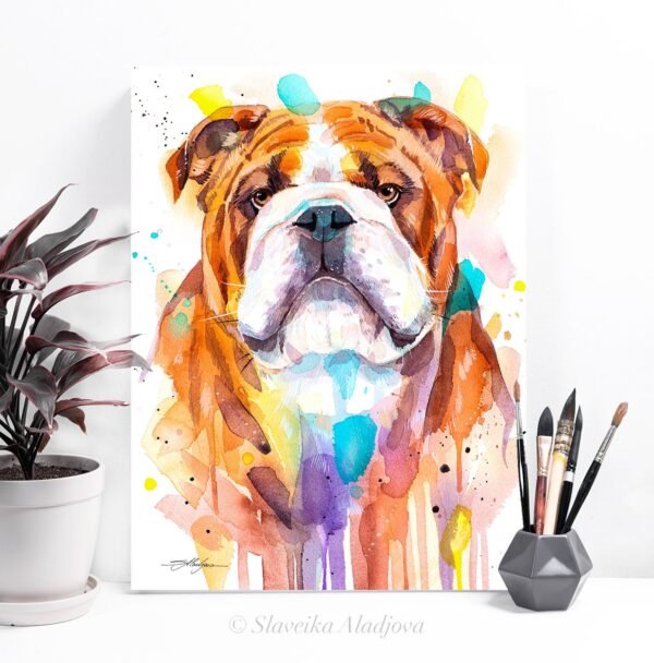 English Bulldog, Dog