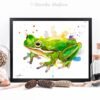 Green Tree Frog