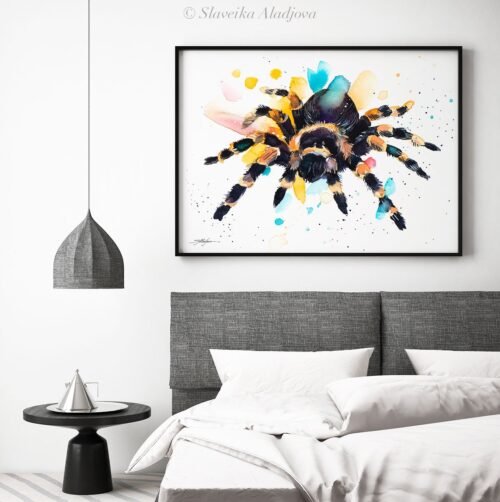Mexican Red Knee Tarantula, Spider