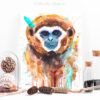 Lar gibbon