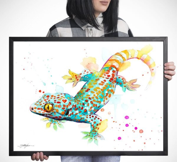 Tokay Gecko Tokay Gecko