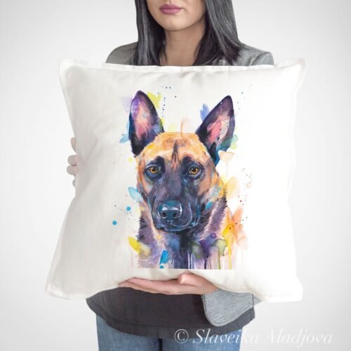 Belgian Shepherd, Malinois
