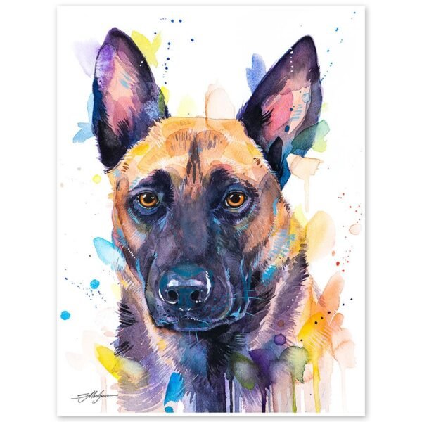 Belgian Shepherd, Malinois Belgian Shepherd, Malinois