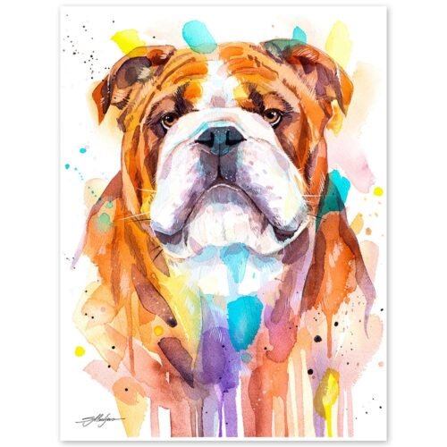 English Bulldog, Dog