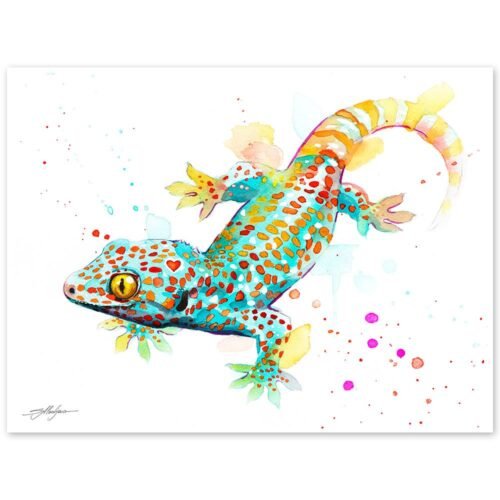 Tokay Gecko