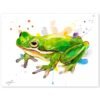 Green Tree Frog