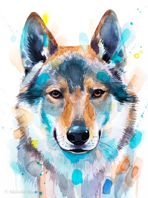 Czechoslovakian Wolfdog