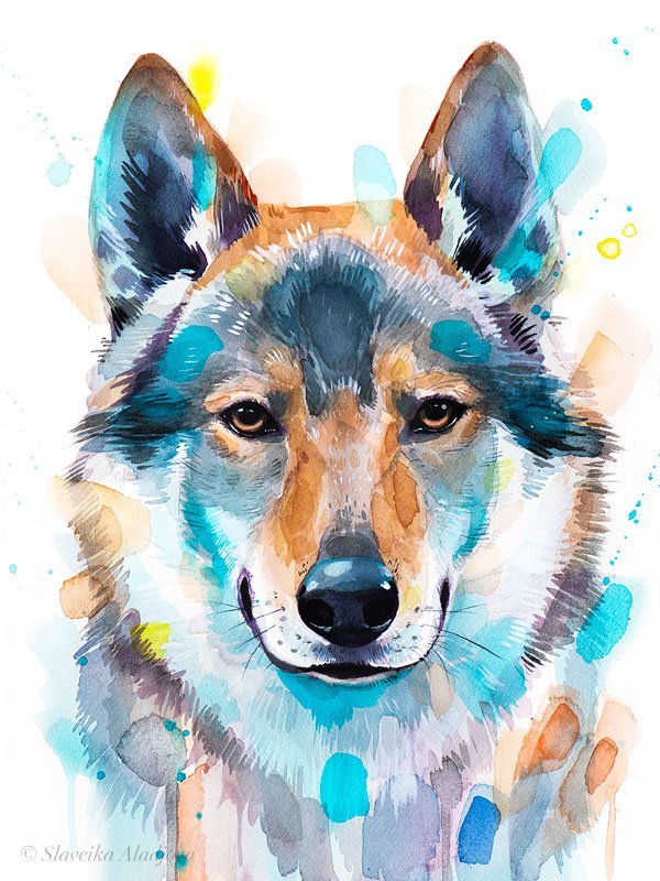 Czechoslovakian Wolfdog, Dog watercolor painting print by Slaveika Aladjova