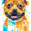 Staffordshire Bull Terrier, Dog watercolor painting print by Slaveika Aladjova