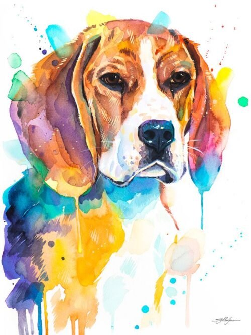 Beagle