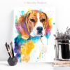 Beagle