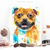 Staffordshire Bull Terrier, Dog watercolor painting print by Slaveika Aladjova