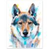 Czechoslovakian Wolfdog Czechoslovakian Wolfdog