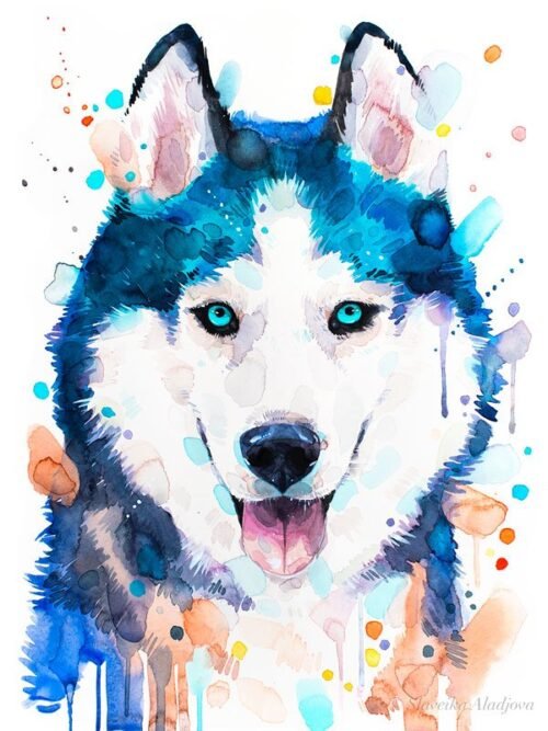 Siberian Husky, dog, animal, watercolor