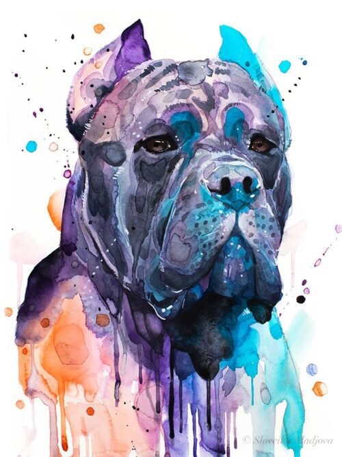Cane Corso, dog, animal, watercolor