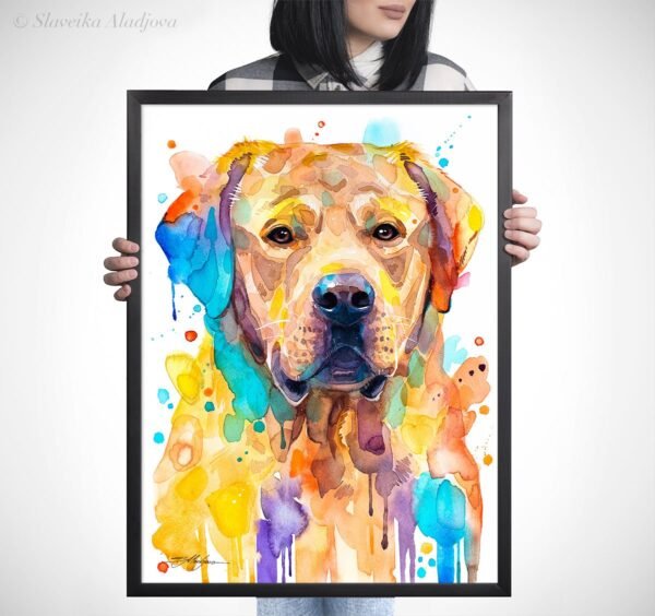 Labrador Retriever