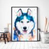 Siberian Husky, dog, animal, watercolor