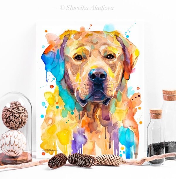 Labrador Retriever