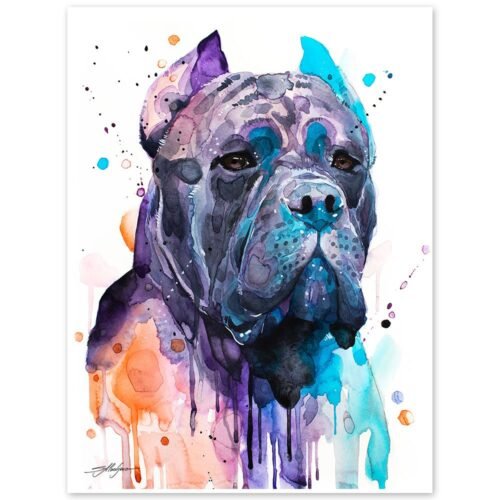 Cane Corso, dog, animal, watercolor