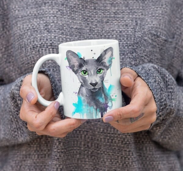 Oriental Shorthair cat Oriental Shorthair cat