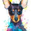 Pinscher