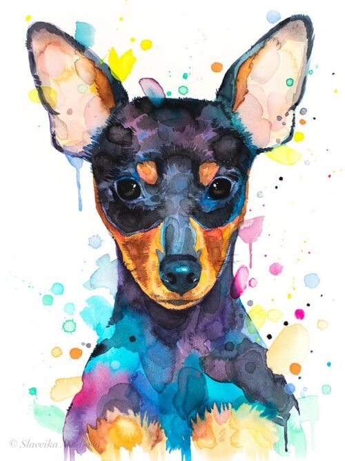 Pinscher
