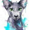 Oriental Shorthair cat