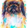Pekingese, Dog watercolor painting print by Slaveika Aladjova