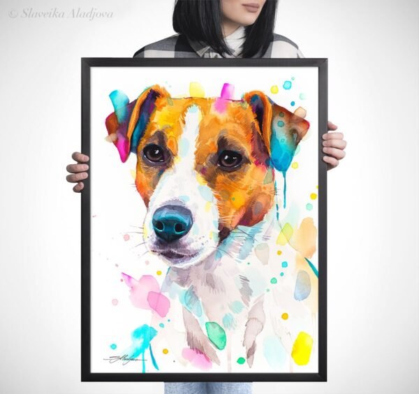 Jack Russell Terrier dog