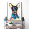 Pinscher