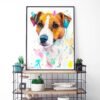Jack Russell Terrier dog