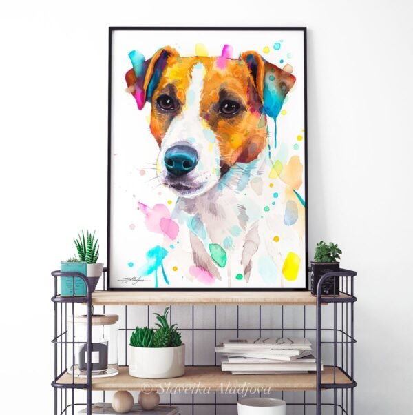 Jack Russell Terrier dog