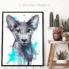 Oriental Shorthair cat