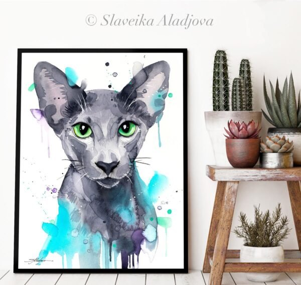 Oriental Shorthair cat