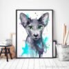 Oriental Shorthair cat