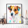 Jack Russell Terrier dog
